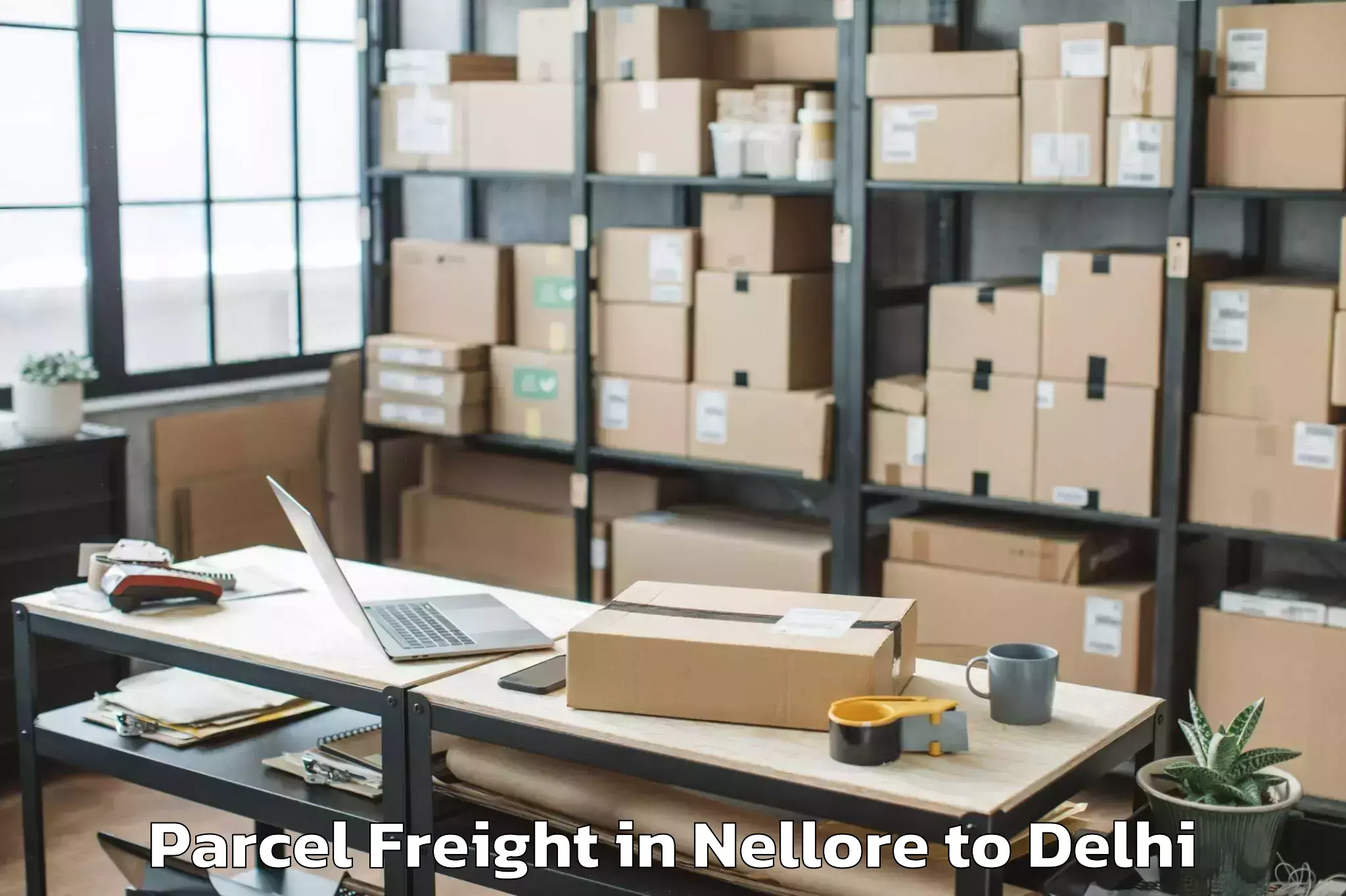 Hassle-Free Nellore to Unity One Janakpuri Mall Parcel Freight